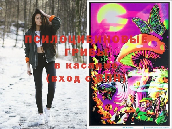 МДПВ Белокуриха